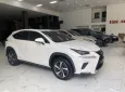 Lexus NX 300 2019 - Chính chủ bán Lexus NX300 mode 2019, sơn zin cả xe, full lịch sử hãng