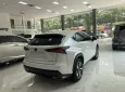 Lexus NX 300 2019 - Chính chủ bán Lexus NX300 mode 2019, sơn zin cả xe, full lịch sử hãng