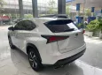 Lexus NX 300 2019 - Chính chủ bán Lexus NX300 mode 2019, sơn zin cả xe, full lịch sử hãng