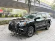 Lexus GX 460 Nhập Mỹ 2010 - Bán Lexus GX460 2010 nhập Mỹ, bản full, lên fom 2021, có hoán cải.