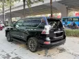 Lexus GX 460 Nhập Mỹ 2010 - Bán Lexus GX460 2010 nhập Mỹ, bản full, lên fom 2021, có hoán cải.