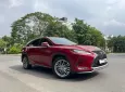 Lexus RX 300 300 2022 - Bán xe Lexus RX 300 300 2022 mới nhất Việt Nam