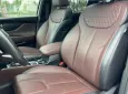 Hyundai Santa Fe 2020 - Hyundai SantaFe 2.2 Premium – Sản xuất 2020