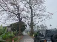 Ảnh số 3