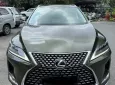 Lexus RX 300 2020 - Lexus RX300 2020 - 28400 km