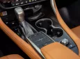 Lexus RX 300 2019 - Cần bán Lexus RX 300 2019, màu đen, xe cực chất 