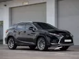 Lexus RX 300 2019 - Cần bán Lexus RX 300 2019, màu đen, xe cực chất 
