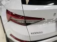 Hãng khác Khác 2024 - Chính chủ bán xe Skoda sản xuất năm 2024