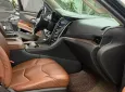 Hãng khác Xe khách khác Cadillac Escalade ESV Platinum 2016 - Bán Cadillac Escalade ESV Platinum sản xuất 2016.