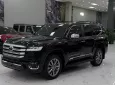 Toyota Land Cruiser LC300 2023 - Bán Toyota Land Cruiser LC300 sản xuất 2023, 1 chủ.