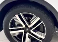 Ford Territory 2026 - Ford Territory Titanium X sản xuất 2026 chỉ 833 triệu 