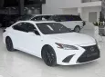 Lexus ES 250 Fsport 2022 - Bán Lexus ES250 Fsport sản xuất 2022. Xe 1 chủ cực mới.