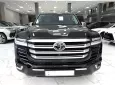 Toyota Land Cruiser LC300 2024 - Bán Land Cruiser LC300 sản xuất 2024, lên full bodykit Trung Đông.
