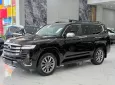 Toyota Land Cruiser LC300 2020 - Bán Land Cruiser LC300 sản xuất 2024, sơn Zin 100%.