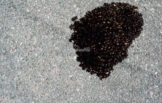 Hiện tượng rò rỉ dầu trên xe ô tô Hiện tượng rò rỉ dầu trên xe ô tô