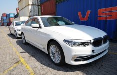 BMW 5-Series 2019 về nước, người dùng Việt có xe sang chơi Tết BMW 5-Series 2019 về nước, người dùng Việt có xe sang chơi Tết