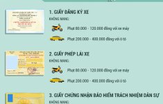 4 loại giấy tờ quan trọng cần mang theo khi lái xe 4 loại giấy tờ quan trọng cần mang theo khi lái xe