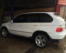 BMW X5 E53  2002 - Cần bán xe BMW X5 E53 đời 2002, màu trắng, nhập khẩu chính hãng   giá 399 triệu tại Hà Nội