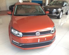 Volkswagen Polo   6AT 2016 - Cần bán Volkswagen Polo Hatchback 6AT màu cam đời 2015, nhập khẩu chính hãng giá 662 triệu tại Quảng Bình