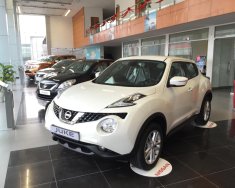 Nissan Juke GX 2017 - Bán Nissan Juke đời 2017, màu trắng, xe nhập giá 1 tỷ 60 tr tại Hà Nội