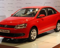 Volkswagen Polo G 2017 - Bán xe Volkswagen Polo G sản xuất 2017, màu đỏ, nhập khẩu chính hãng, 690tr nhanh tay liên hệ giá 699 triệu tại Bình Thuận  