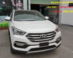 Hyundai Santa Fe 4WD 2016 - Bán Hyundai Santa Fe đời 2017, màu trắng giá 1 tỷ 100 tr tại Đà Nẵng