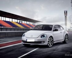 Volkswagen Beetle 1.2 TSI 2016 - Bán xe Đức Volkswagen Polo Hatchback AT màu cam giá 662 triệu, trả trước từ 133 triệu, giao xe toàn quốc giá 662 triệu tại Quảng Bình