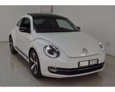 Volkswagen Beetle 1.2L TSI  2016 - Bán xe Volkswagen Beetle 1.2L TSI đời 2016, màu trắng, giá hấp dẫn giá 1 tỷ 299 tr tại TT - Huế