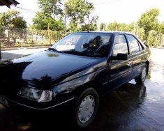 Peugeot 205 1989 - Bán xe Peugeot 205 đời 1989, màu đen giá 65 triệu tại Đắk Lắk