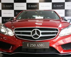 Mercedes-Benz E250   AMG 2016 - Bán xe Mercedes E250 AMG đời 2016, có đủ màu, giao xe ngay, giá giảm cực tốt giá 2 tỷ 329 tr tại Khánh Hòa