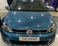 Volkswagen Golf Variant 2014 - Cần bán Volkswagen Golf Variant sản xuất 2014, màu xanh lam, nhập khẩu chính hãng giá 1 tỷ 169 tr tại BR-Vũng Tàu