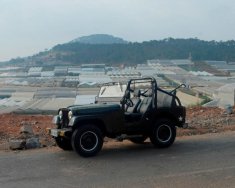 Jeep CJ   1980 - Bán xe Jeep CJ đời 1980, xe nhập, giá tốt giá 100 triệu tại Lâm Đồng