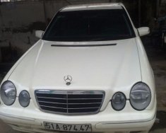 Mercedes-Benz E240   2000 - Cần bán lại xe Mercedes E240 đời 2000, màu trắng, nhập khẩu nguyên chiếc, giá 250tr giá 250 triệu tại Tp.HCM