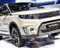 Suzuki Vitara   2016 - Cần bán xe Suzuki Vitara sản xuất 2016, nhập khẩu   giá 779 triệu tại Cần Thơ