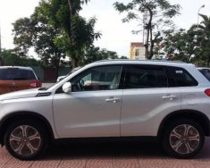 Suzuki Vitara   2016 - Bán ô tô Suzuki Vitara năm 2016, màu trắng, xe nhập, 730tr giá 730 triệu tại Thái Bình