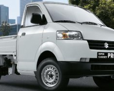 Suzuki Carry Pro 2016 - Cần bán xe Suzuki Carry Pro, màu trắng, nhập khẩu chính hãng, giá cạnh tranh giá 312 triệu tại Trà Vinh