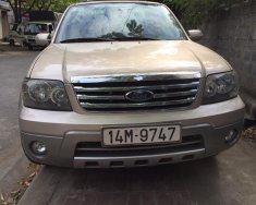 Ford Escape 2008 - Bán xe Ford Escape sản xuất 2008 màu hồng, 395 triệu giá 395 triệu tại Thái Bình