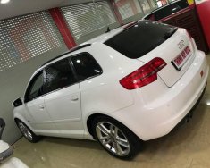 Audi A3   2010 - Bán ô tô Audi A3 năm 2010, màu trắng, xe nhập giá 820 triệu tại Đà Nẵng