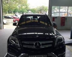 Mercedes-Benz GLK Class  300  2012 - Cần bán xe Mercedes GLK 300 đời 2012, màu đen, xe nhập còn mới giá 1 tỷ 400 tr tại Quảng Ngãi