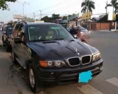 BMW X5 2.5MT 2002 - Bán ô tô BMW X5 2.5 mt đời 2002, màu đen, nhập khẩu chính hãng số tự động giá 295 triệu tại Bình Dương