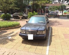 Mercedes-Benz E class 1995 - Cần bán gấp Mercedes đời 1995, màu xanh lam, nhập khẩu giá 495 triệu tại Hà Nội