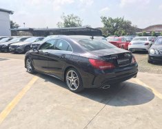 Mercedes-Benz CLA class 4 MATIC 2014 - Xe Mercedes 4 MATIC sản xuất 2014, màu tím  giá 1 tỷ 450 tr tại Đồng Nai