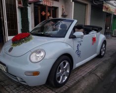 Volkswagen New Beetle 2004 - Cần bán xe Volkswagen New Beetle đời 2004, màu xanh lam, nhập khẩu nguyên chiếc giá 525 triệu tại Tp.HCM