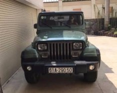 Jeep Wrangler   1995 - Cần bán xe cũ Jeep Wrangler đời 1995 số tự động, giá tốt giá 200 triệu tại Bình Dương