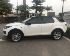 LandRover Discovery 2016 - Bán xe LandRover Discovery sản xuất 2016 màu trắng, 2 tỷ 499 triệu, xe nhập giá 2 tỷ 499 tr tại Đồng Nai