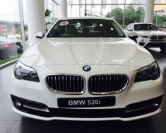 BMW 5 Series 520i 2017 - Bán xe BMW 5 Series 520i 2017, màu trắng, nhập khẩu chính hãng, giá rẻ nhất giá 2 tỷ 98 tr tại TT - Huế