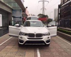 BMW X4 xDrive20i 2017 - Bán BMW X4 xDrive20i 2017, màu trắng, nhập khẩu chính hãng, ưu đãi cực lớn giá 2 tỷ 808 tr tại Đà Nẵng