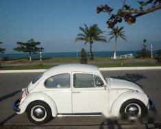 Volkswagen Beetle 1969 - Cần bán xe Volkswagen Beetle sản xuất 1969, màu trắng giá 260 triệu tại Tp.HCM