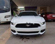 Ford Mustang 2.3AT 2015 - Cần bán Ford Mustang 2.3 2015, màu trắng, xe nhập giá 1 tỷ 850 tr tại Tiền Giang