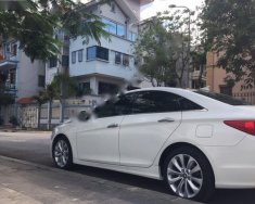 Hyundai Sonata Y20 2010 - Bán Hyundai Sonata Y20 đời 2010, màu trắng, nhập khẩu nguyên chiếc, giá chỉ 625 triệu giá 625 triệu tại Nam Định